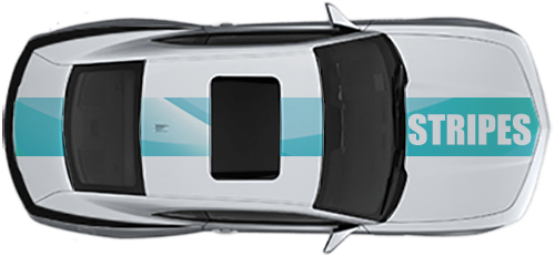 bmw-color-change-wrap-satin-white-wrap (1)